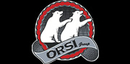 Orsi Group